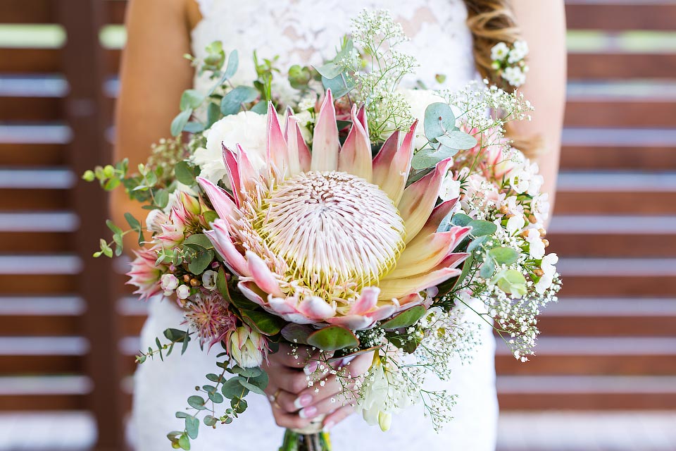 8 steps to booking your byron bay wedding celebrant 1